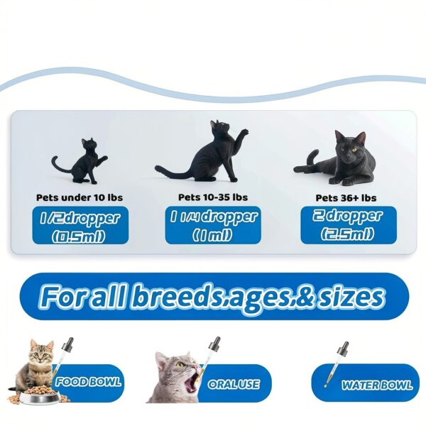 Natural Antibiotics for Cats Cudory Chicken Flavor Liquid 2 fl oz-3