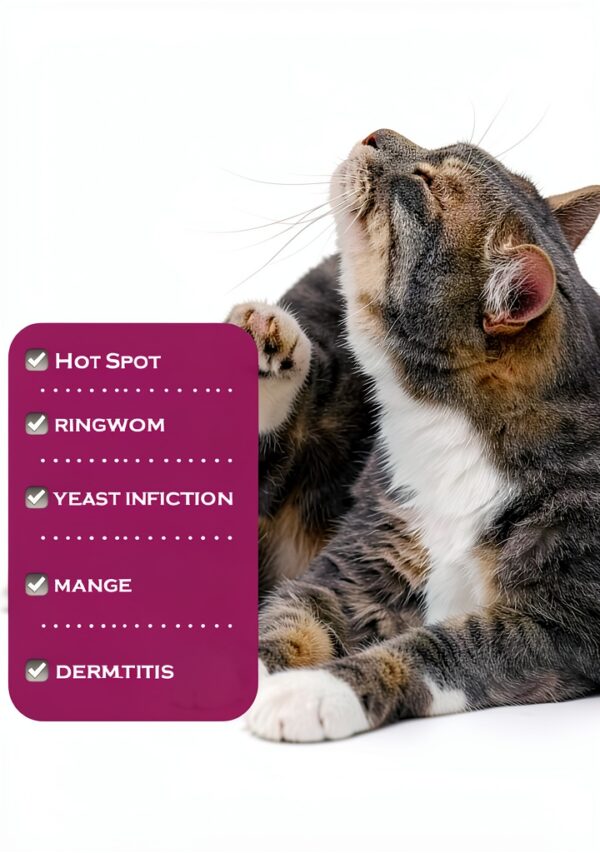 FlexTran Feline Ring Care | Control & Help with Cat Ringworm, Mange, Dermatitis, Dog Paw Yeast. Also Works on Dogs, Hamsters, Guinea Pigs, Rabbits, etc. Makes 32 oz of Spray for Cats and Itch Relief-5