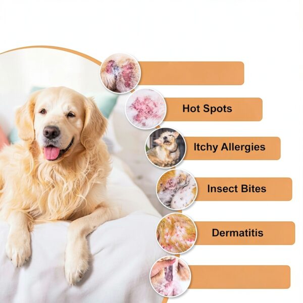Lime Sulfur Cream ZOXY Mange & Ringworm Treatment for Dogs & Cats 2oz-1