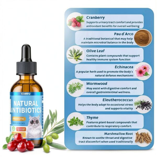Natural Antibiotics for Cats Cudory Chicken Flavor Liquid 2 fl oz-1