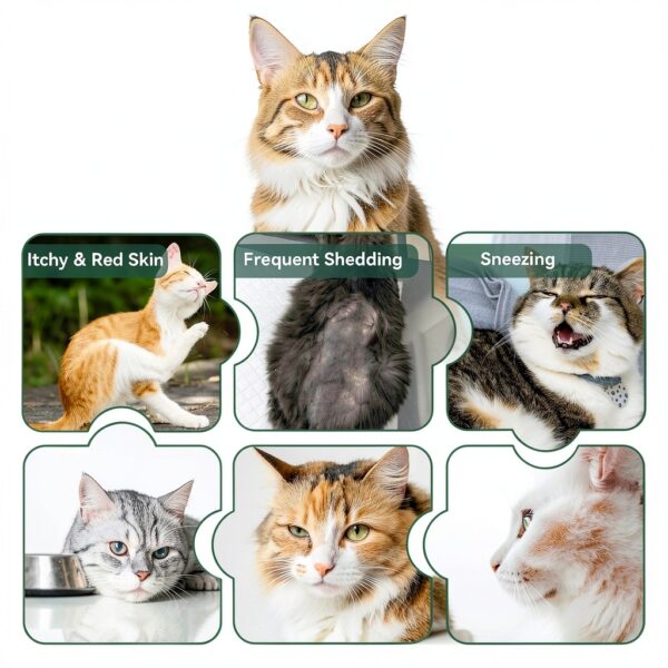 Cat Allergy Relief YOTANGO Chews – Immune & Digestive Support, Chicken-3