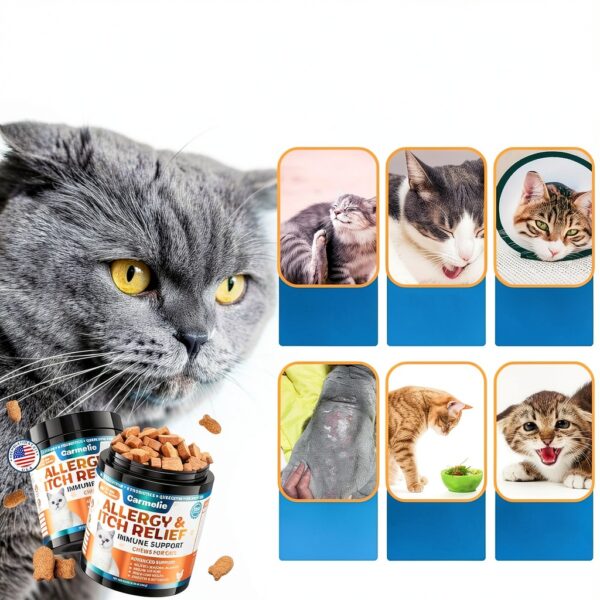 Cat Allergy Relief Chews Carmelie 200 Soft Chews Omega3 Probiotic-4