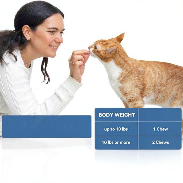 Cat Allergy Relief Chews Carmelie 200 Soft Chews Omega3 Probiotic-6