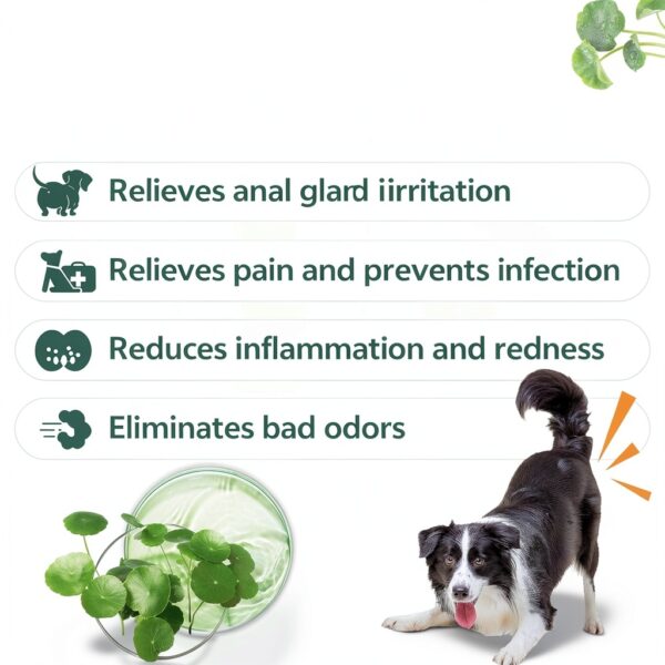Dog Anal Gland Spray Puyrzoe Fast Relief Natural Soothing 4.06 fl oz-1
